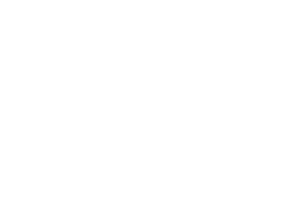 Logo AlèsVet