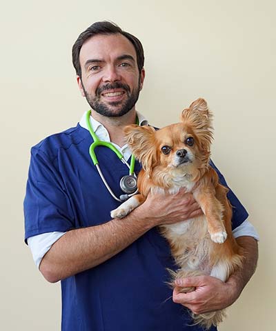 Docteur vétérinaire Benjamin Masnou