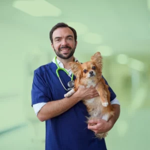 Dr Benjamin Masnou, clinique vétérinaire. L'équipe AlèsVet