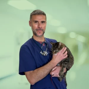 Docteur Romain Rigaud clinique vétérinaire Alès