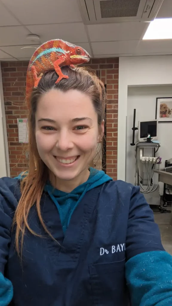 NAC Alèsvet clinique vétérinaire gard