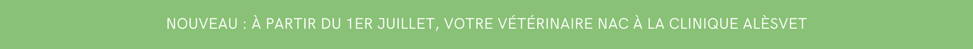 Clinique vétérinaire Alèsvet