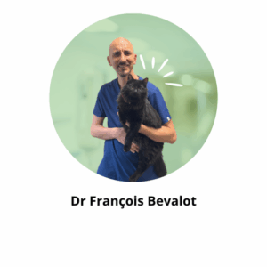 Dr François Bevalot Alèsvet