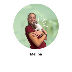 mélina asv alèsvet