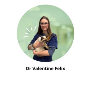 Dr valentine felix alèsvet