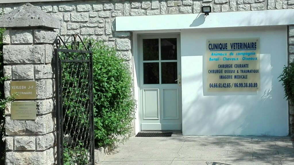 cabinet vétérinaire chamborigaud