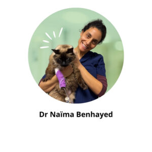 Docteur Benhayed alesvet